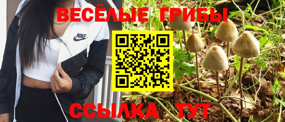 Галлюциногенные грибы Cubensis  где купить наркоту  Вход с VPN  Хабаровск  Галлюциногенные грибы Cubensis 